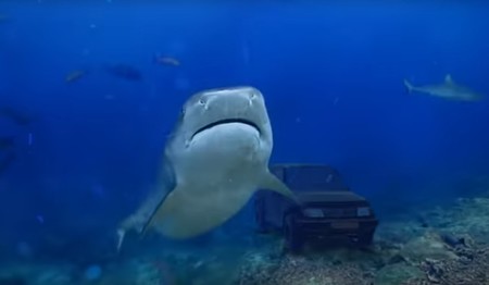¿El anuncio del año? Un particular 'sumerge' su Suzuki Vitara entre tiburones para venderlo