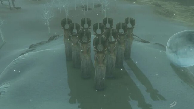 Rupias Zelda Botw