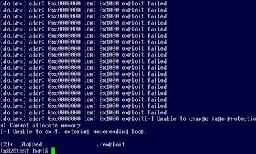 Kernel Fun: month of kernel bugs