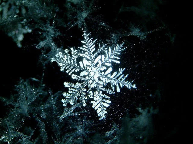 fractal-natural-copo-de-nieve