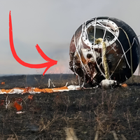 Rusia trae de regreso a la Tierra su "Arca de Noé". Tenía más de 1,500 moscas y 75 ratones