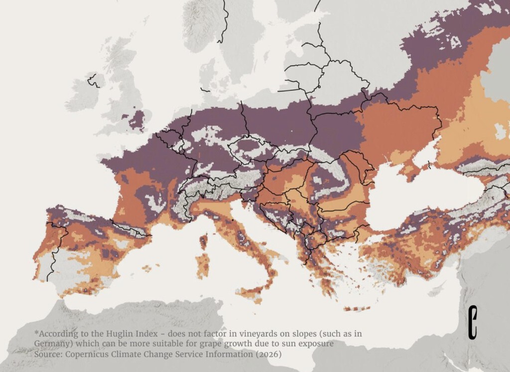 Por primera vez en la historia la posibilidad de un Mediterráneo sin vino empieza a darse en el horizonte