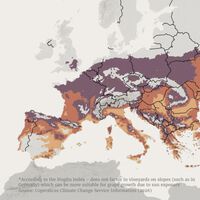 Por primera vez en la historia la posibilidad de un Mediterráneo sin vino empieza a darse en el horizonte