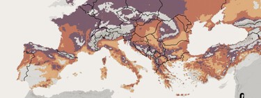 Por primera vez en la historia la posibilidad de un Mediterráneo sin vino empieza a darse en el horizonte