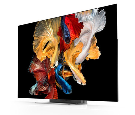 Mi Tv Masters 65