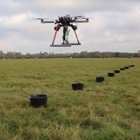 El ser humano lleva años deforestando los bosques. Y ahora los drones tienen que volver a plantarlos 