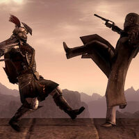 Es una de las cosas más infravaloradas de Fallout por la mayoría de jugadores, pero amada hasta la locura por los expertos