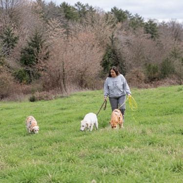 Annabel dejó Valencia por una pequeña aldea de Ourense para enseñar a entender mejor a los perros: "Esto era mejor que cualquier cosa que pudiéramos encontrar allí" 