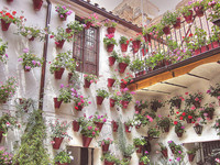 Visita a los patios de Córdoba