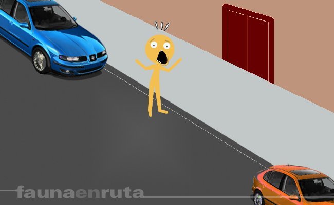 fauna en ruta: robo de coches