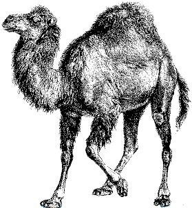 Perl 5.14 ya disponible: mejor soporte de Unicode y de IPv6