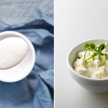 Yogur griego o queso cottage: ¿cuál elegir para sumar proteínas y cuidar la salud cardiovascular?