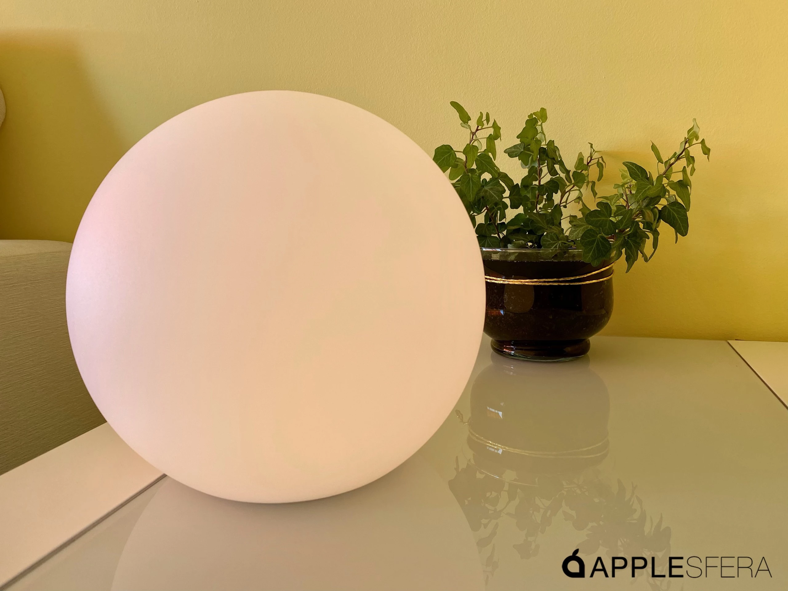 Foto de Eve Flare (4/5)