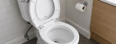 Siempre nos han dicho que el vinagre es ideal para limpiar el inodoro. Los estudios científicos tienen algo importante que añadir
