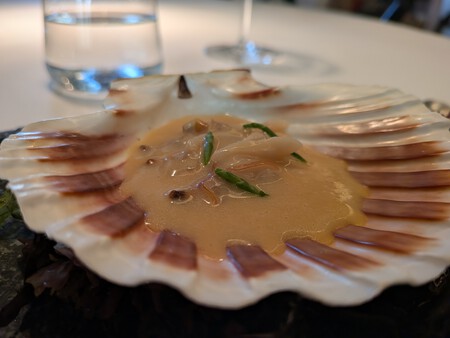 Pxl 20260312 133053248 Macro Focus