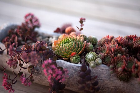 Katie Burkhart