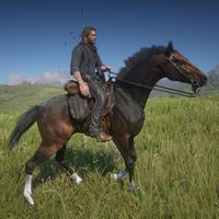 ¿Cuál es el mejor Caballo en Red Dead Redemption 2? 