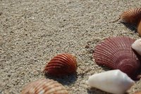 Ejercicio de relajación para embarazadas