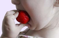 Aprobado el fondo de garantía del pago de alimentos