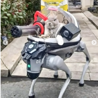 "Entra no robô, Pernalonga": esse coelhinho tem um mecha próprio feito pelo seu dono 