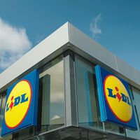 Lidl tiene un pack de guirnaldas solares con luces LED que está arrasando: buena autonomía y temporizador por menos de 10 euros