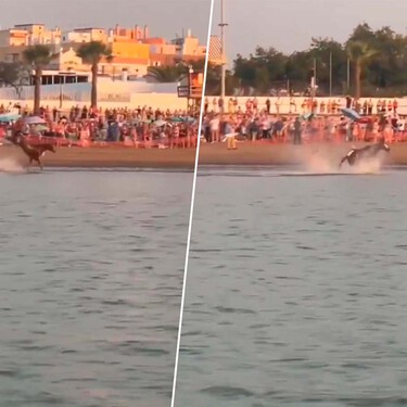 Susto en Sanlúcar de Barrameda: una yegua se desboca en plenas Carreras de Caballos de la playa y termina en el agua