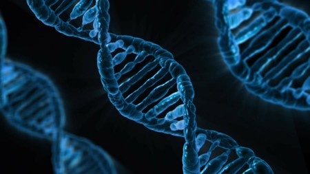 Muestras de ADN compartidas en webs de genealogía permiten encontrar a un presunto violador y asesino en serie 40 años después