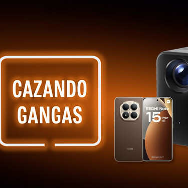 Cazando Gangas
