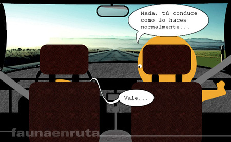 fauna en ruta: examen de conducir