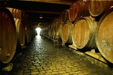 No seas el hortera que se va a Punta Cana a hotel de pulserita: vete a hacer la ruta del vino a Tenerife