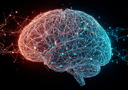 Conexiones Cerebrales Memoria