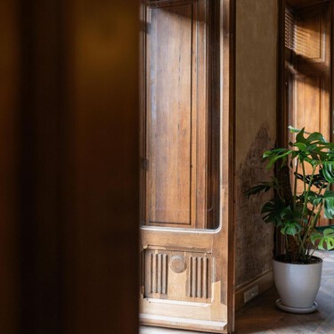Ni cuadros caros ni sofás de diseño: estas plantas grandes cambian por completo cualquier salón  