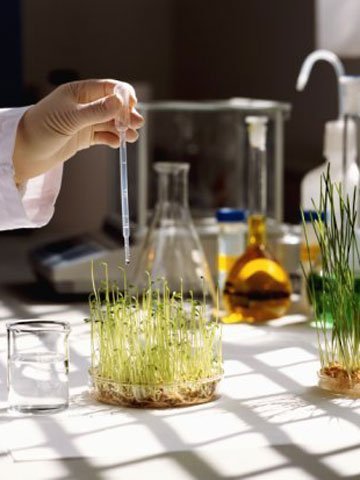 Lo que dice la ciencia es verdad; lo que opinas tú, no (I)