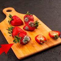 Le corté a mis fresas una parte con hongo. Comí el resto, pero me enfermé. Esto me explicó el doctor 