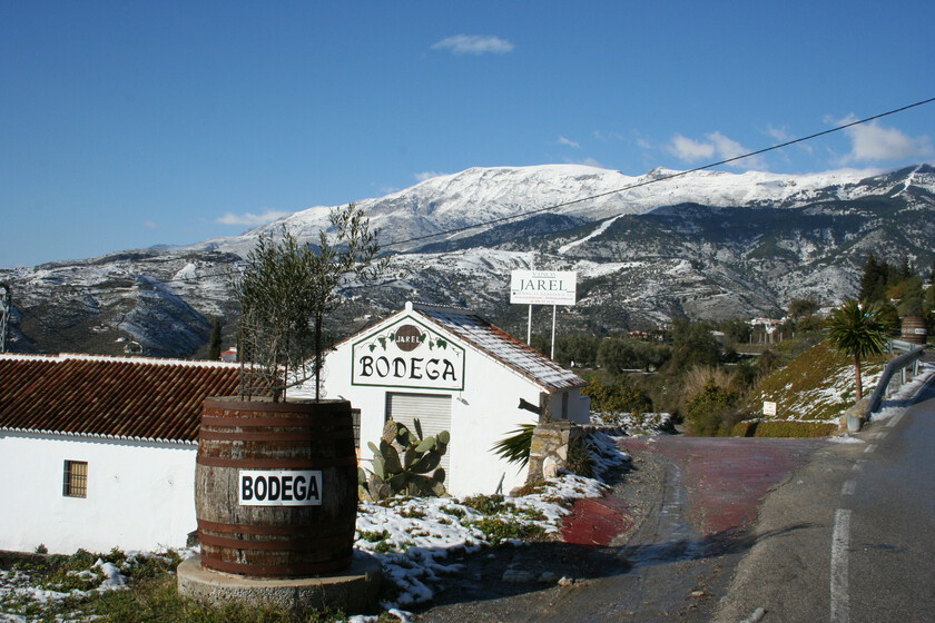 El precioso pueblo blanco por descubrir en Andalucía este otoño: un mágico destino serrano con vistas al mar y gastronomía de fábula