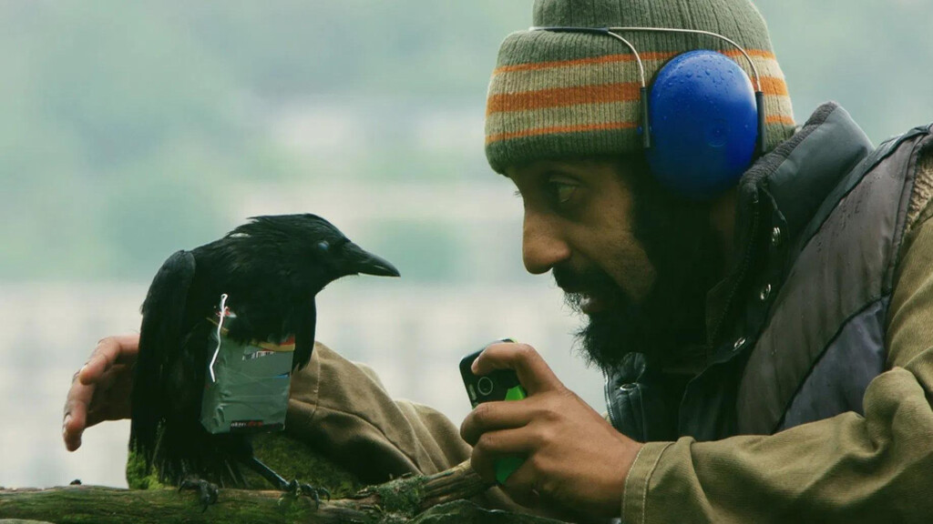 Hoy en Prime Video, una de las comedias más incorrectas y desternillantes del siglo XXI