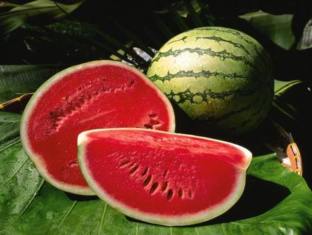 Un nuevo biocarburante a base de zumo de sandía