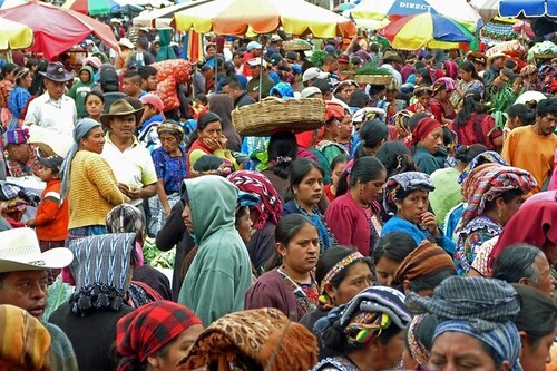 Compañeros de ruta: siete viajes para despedir el año 2020