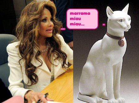 Separados al nacer: La Toya Jackson y el Gato de de Escayola
