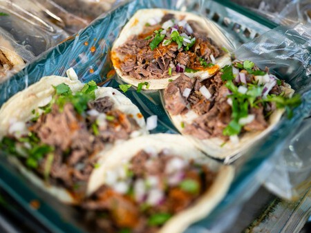 Copia De Diseno Sin Titulo 23