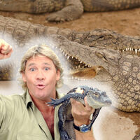 Steve Irwin, cazador de cocodrilos: "Los cocodrilos son fáciles. Intentan matarte y comerte. Las personas son difíciles. A veces fingen ser tus amigos primero" 