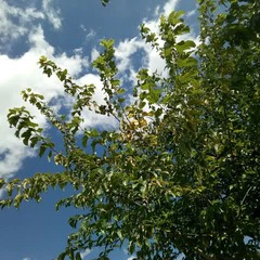 Foto 16 de 22 de la galería muestras-de-camara-alcatel-a7 en Xataka Móvil