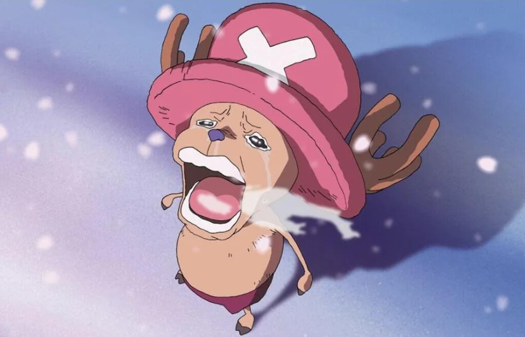 Existe una fruta del diablo en One Piece que es más una molestia que una ventaja, aunque con un gran pero 