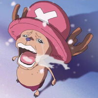 Existe una fruta del diablo en One Piece que es más una molestia que una ventaja, aunque con un gran pero 