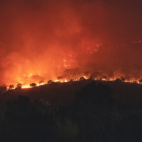Emergencia Nacional: las 22 carreteras cortadas por los incendios de Madrid y la mejor alternativa para desplazarse hoy