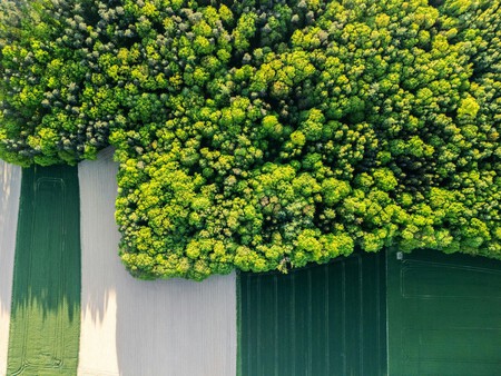 Copia De Plantilla 1200x900 88