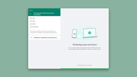 descargas automáticas whatsapp web