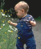 Qué hacer cuando un niño se golpea la cabeza