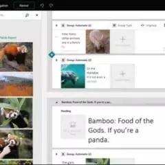 Foto 3 de 10 de la galería sway en Genbeta