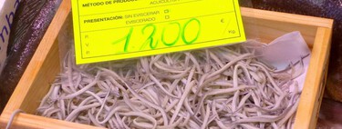 Spain is going to continue fishing for eels until we have no more eels to catch 